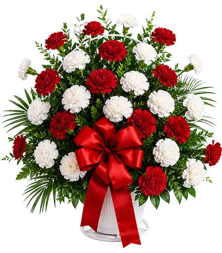 Red and White Handled Basket